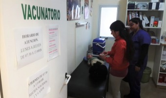 INICI� LA CAMPA�A DE VACUNACI�N CONTRA EL SARAMPI�N Y LA RUB�OLA